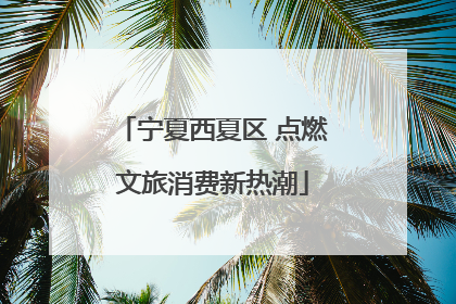 宁夏西夏区 点燃文旅消费新热潮